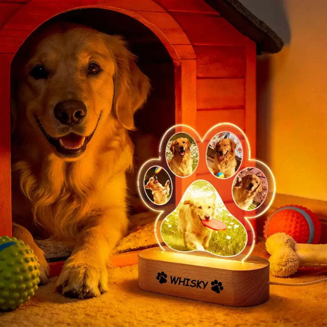 Luminária Pet Personalizada - Transforme fotos do seu pet em uma lembrança eterna