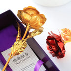 Rosa Ouro 24K com caixa