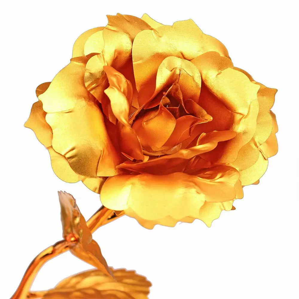 Rosa Banhada a Ouro + Caixa [Dourada]