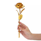 Rosa Banhada a Ouro + Caixa [Dourada]