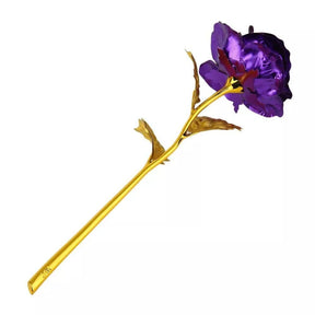 Rosa Banhada a Ouro + Caixa [Roxo]
